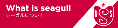 What is seagull シーガルについて